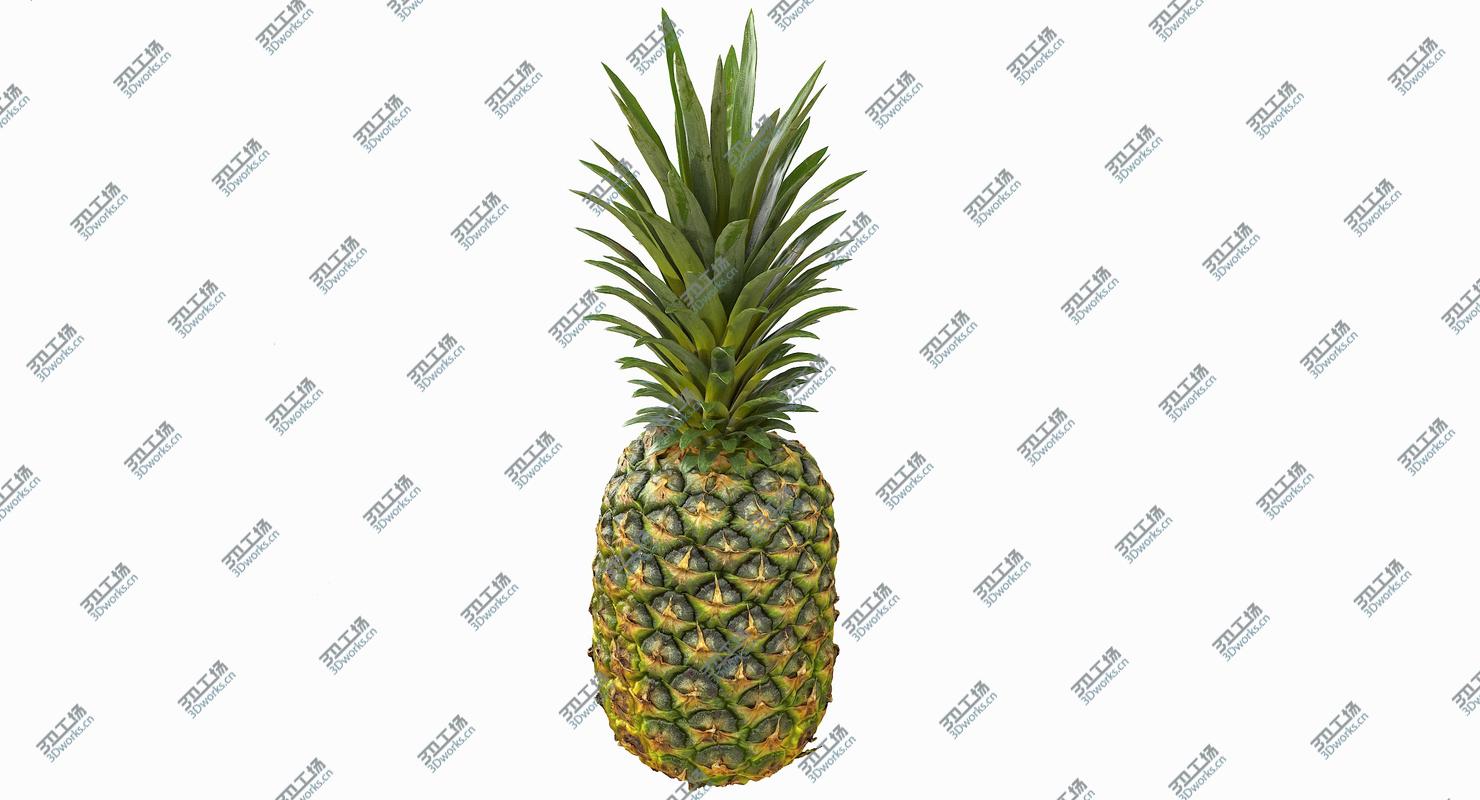 images/goods_img/20210319/Realistic Whole Pineapple 3D model/4.jpg